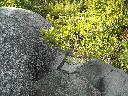 DSCN3695