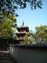 DSCN3699