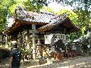 DSCN3710