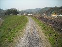 DSCN3731