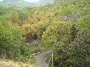DSCN3738