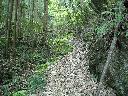 DSCN3831