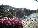 DSCN3850