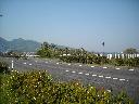 DSCN4101