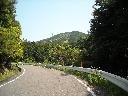 DSCN4133