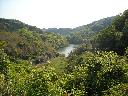 DSCN4140