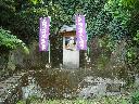 DSCN4170