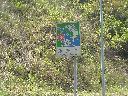 DSCN4172