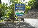 DSCN4220
