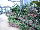DSCN4252