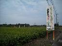 DSCN4255
