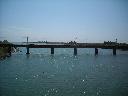 DSCN4264
