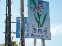 DSCN4266