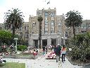DSCN4275