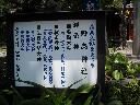 DSCN4323