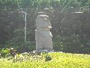 DSCN4341