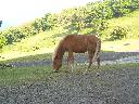 DSCN4403