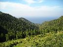DSCN4404
