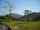DSCN4411