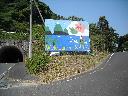 DSCN4448