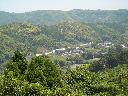 DSCN4453