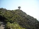 DSCN4473