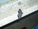 DSCN4493
