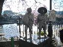 DSCN3341